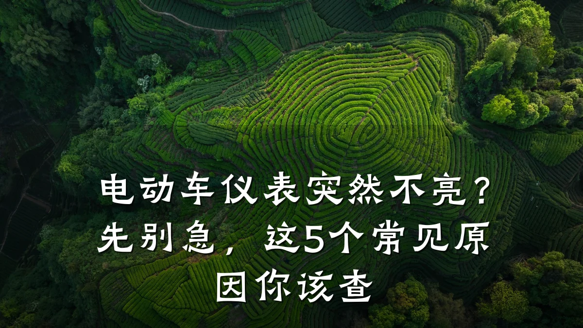 电动车仪表突然不亮?先别急,这5个常见原因你该查