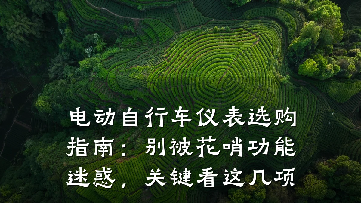 电动自行车仪表选购指南:别被花哨功能迷惑,关键看这几项