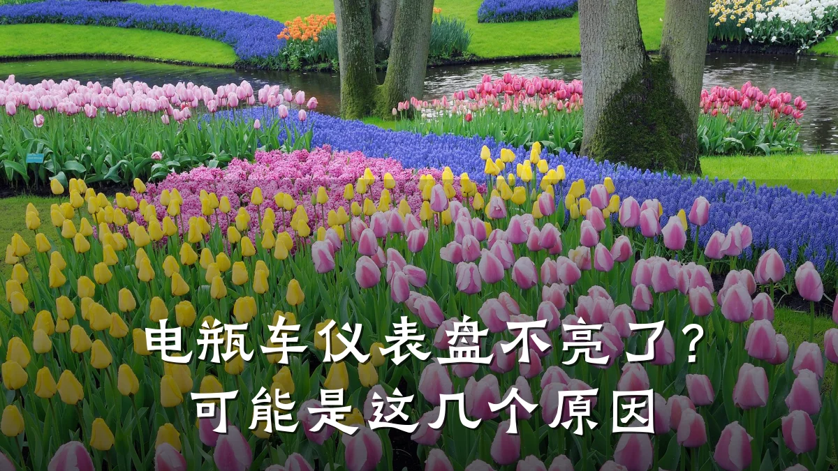 电瓶车仪表盘不亮了?可能是这几个原因