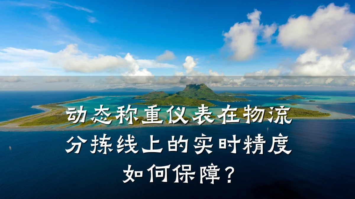 动态称重仪表在物流分拣线上的实时精度如何保障？