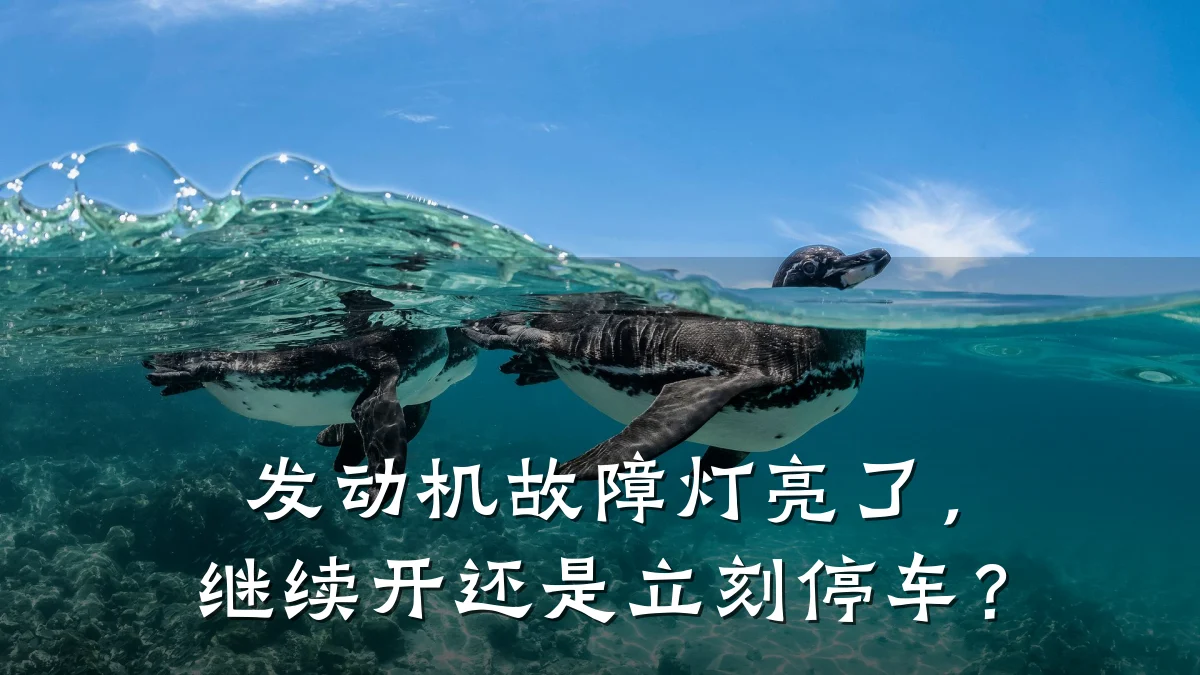 发动机故障灯亮了,继续开还是立刻停车?