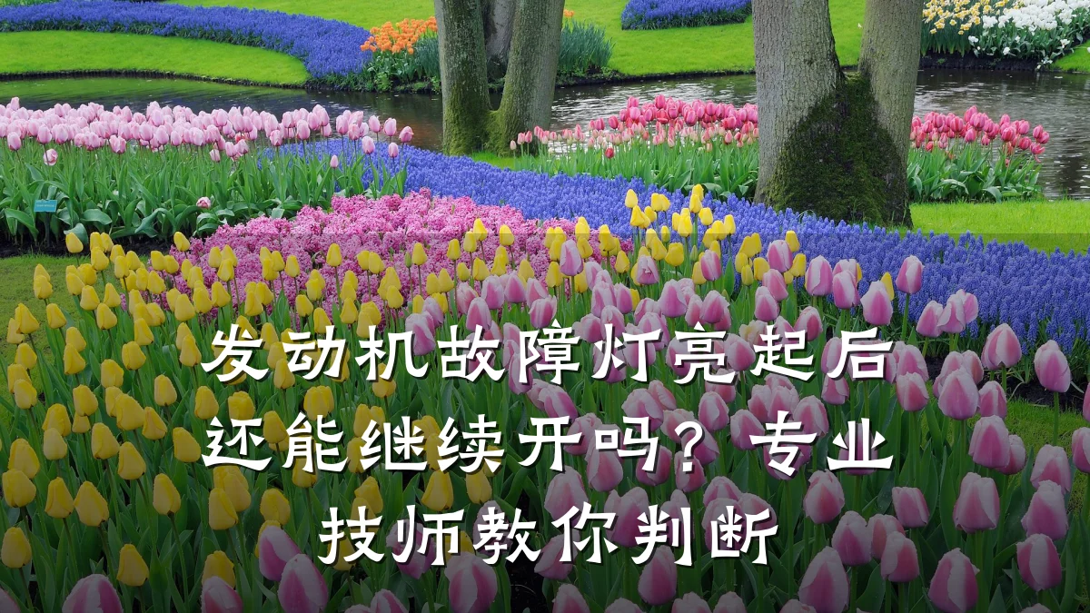 发动机故障灯亮起后还能继续开吗?专业技师教你判断