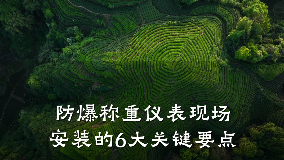 防爆称重仪表现场安装的6大关键要点