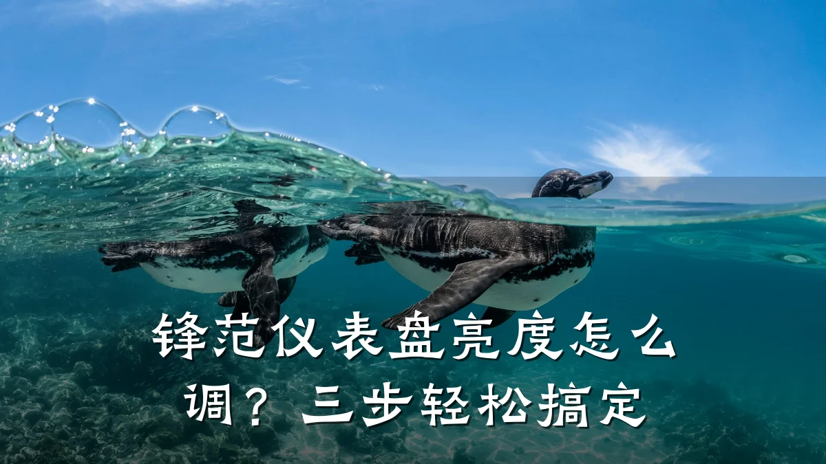 锋范仪表盘亮度怎么调?三步轻松搞定