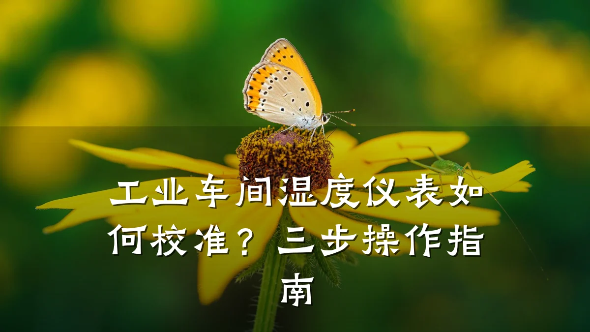 工业车间湿度仪表如何校准?三步操作指南