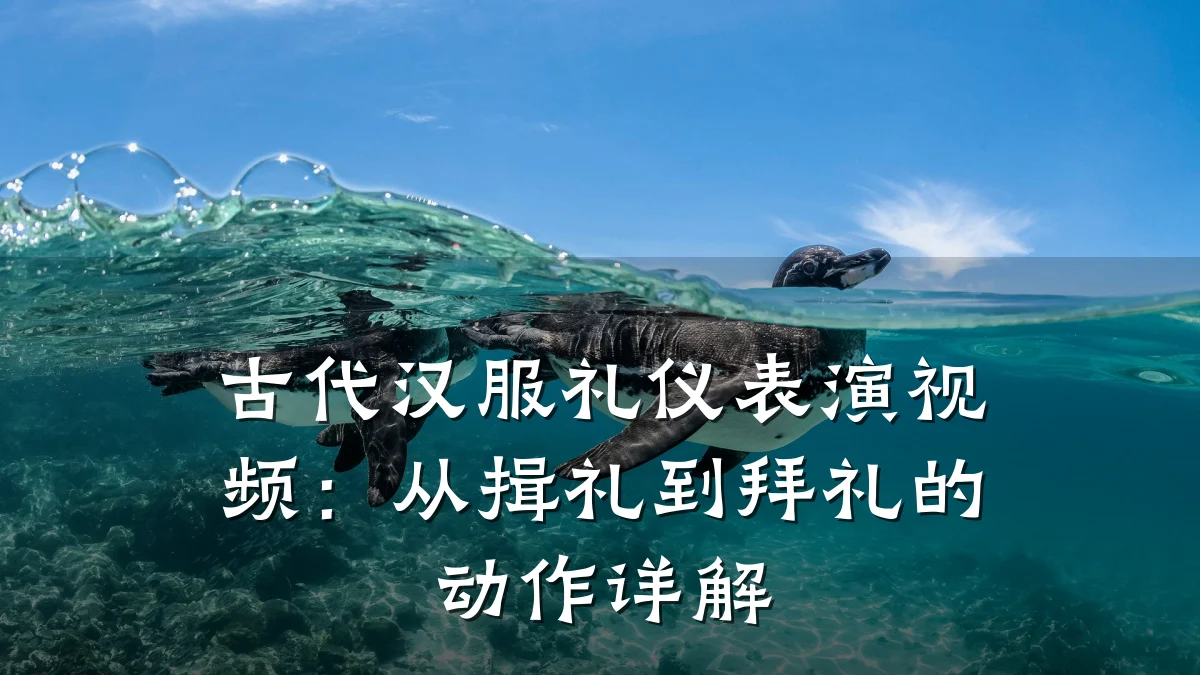 古代汉服礼仪表演视频：从揖礼到拜礼的动作详解