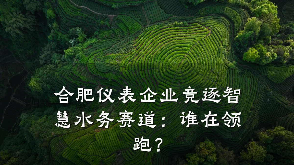 合肥仪表企业竞逐智慧水务赛道:谁在领跑?