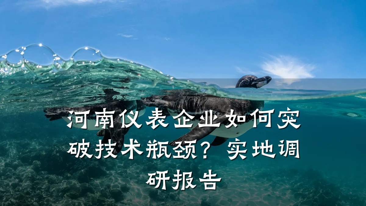 河南仪表企业如何突破技术瓶颈?实地调研报告