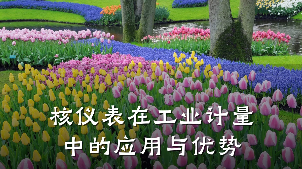 核仪表在工业计量中的应用与优势