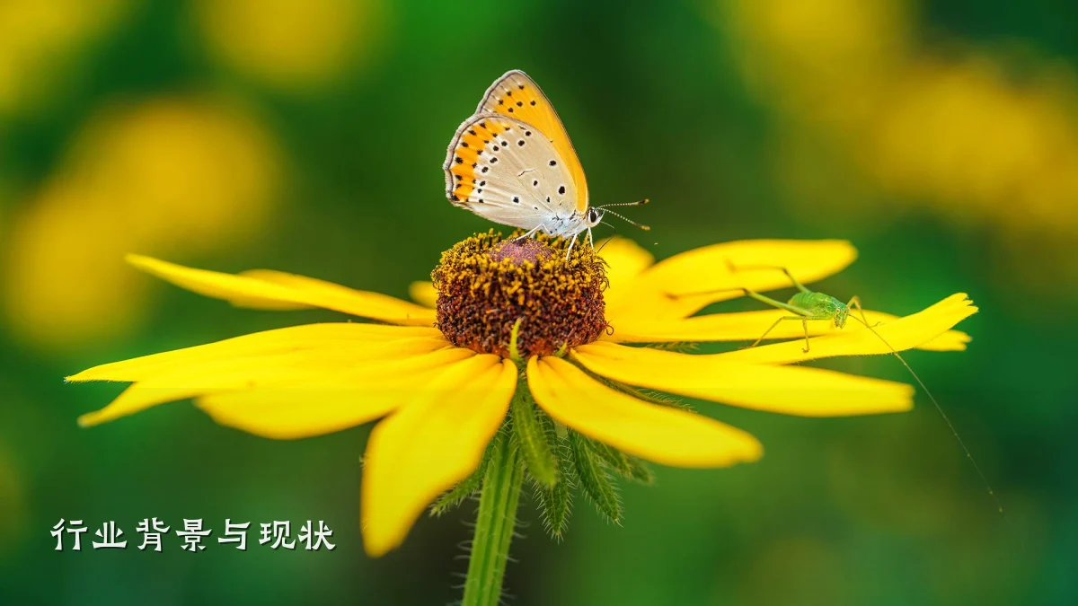 行业背景与现状