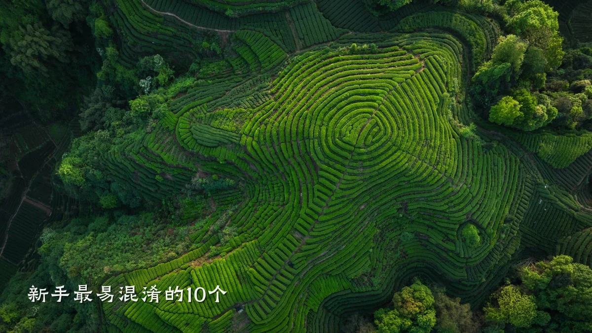 新手最易混淆的10个