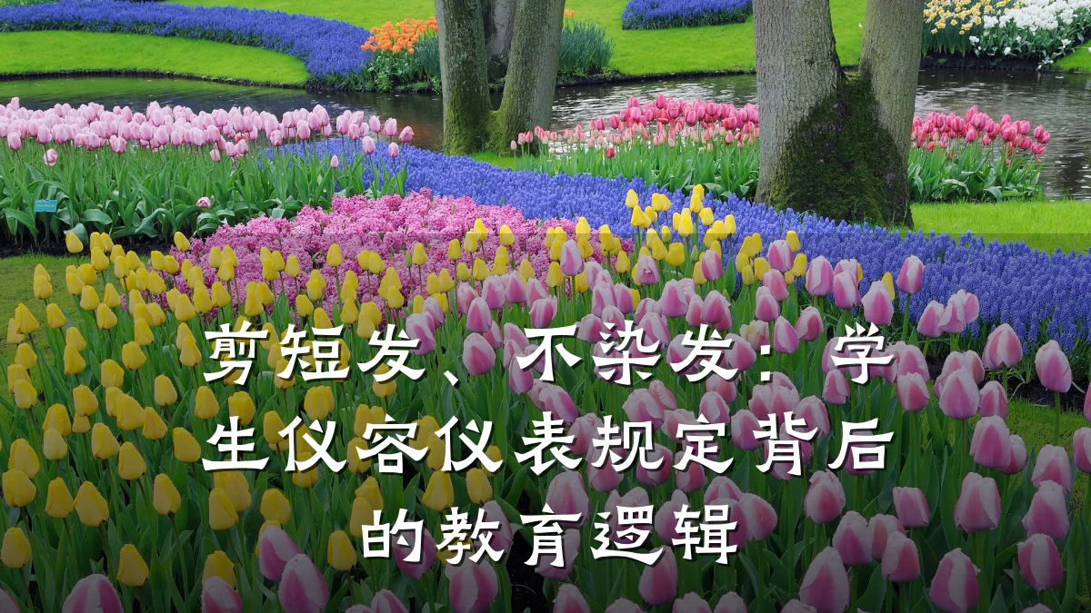 剪短发、不染发：学生仪容仪表规定背后的教育逻辑