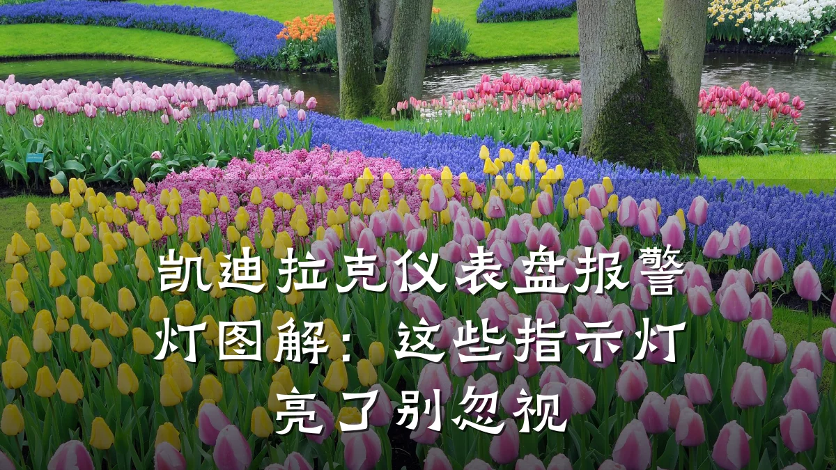 凯迪拉克仪表盘报警灯图解:这些指示灯亮了别忽视