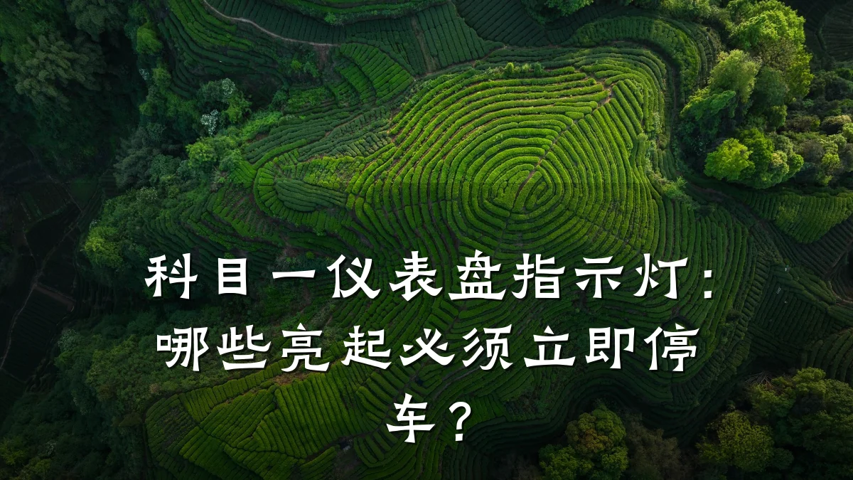 科目一仪表盘指示灯:哪些亮起必须立即停车?