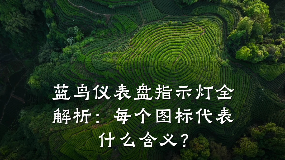 蓝鸟仪表盘指示灯全解析:每个图标代表什么含义?