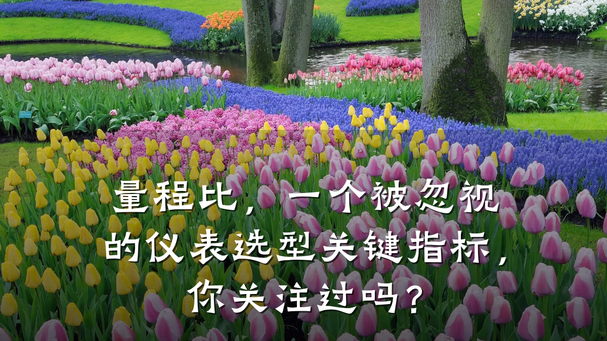量程比,一个被忽视的仪表选型关键指标,你关注过吗?