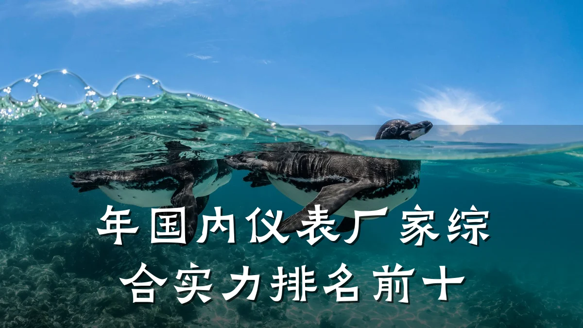 年国内仪表厂家综合实力排名前十