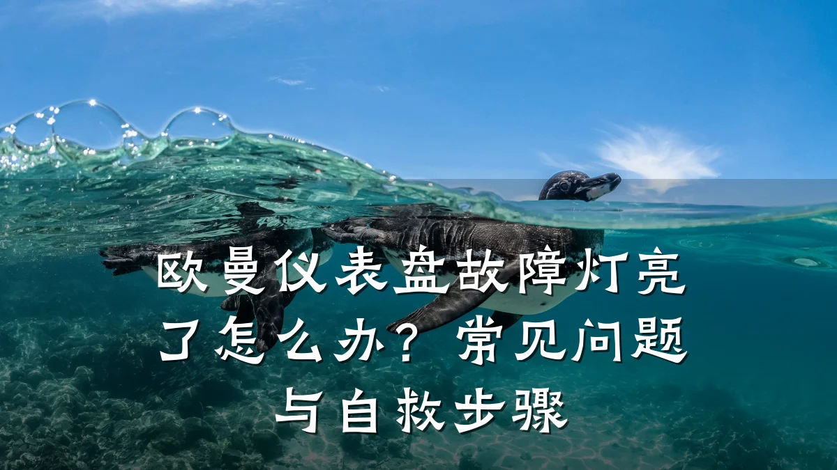 欧曼仪表盘故障灯亮了怎么办?常见问题与自救步骤