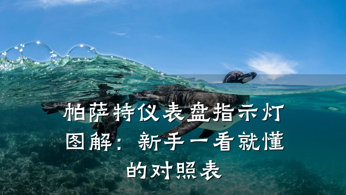 帕萨特仪表盘指示灯图解：新手一看就懂的对照表