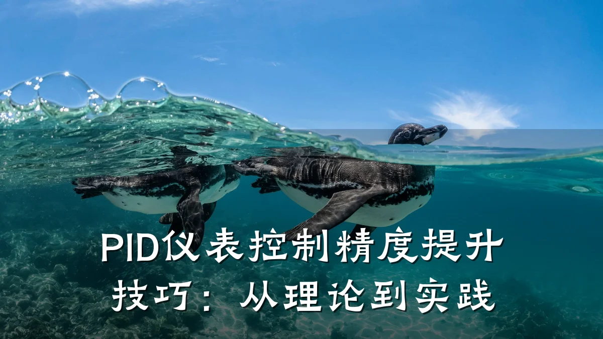 PID仪表控制精度提升技巧:从理论到实践