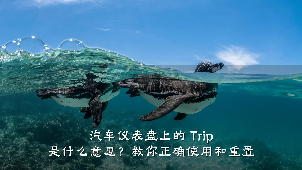 汽车仪表盘上的 Trip 是什么意思?教你正确使用和重置