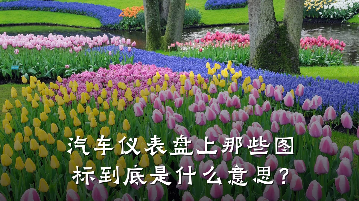 汽车仪表盘上那些图标到底是什么意思?