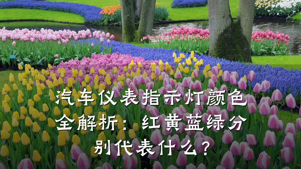 汽车仪表指示灯颜色全解析:红黄蓝绿分别代表什么?