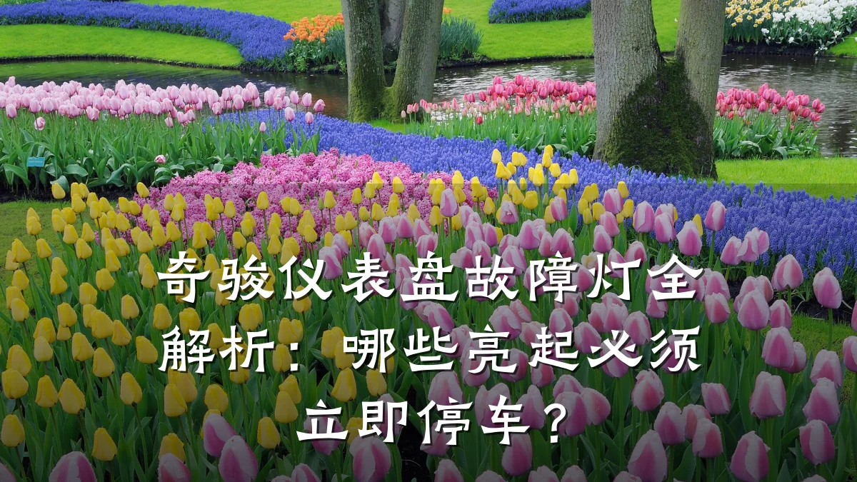 奇骏仪表盘故障灯全解析:哪些亮起必须立即停车?