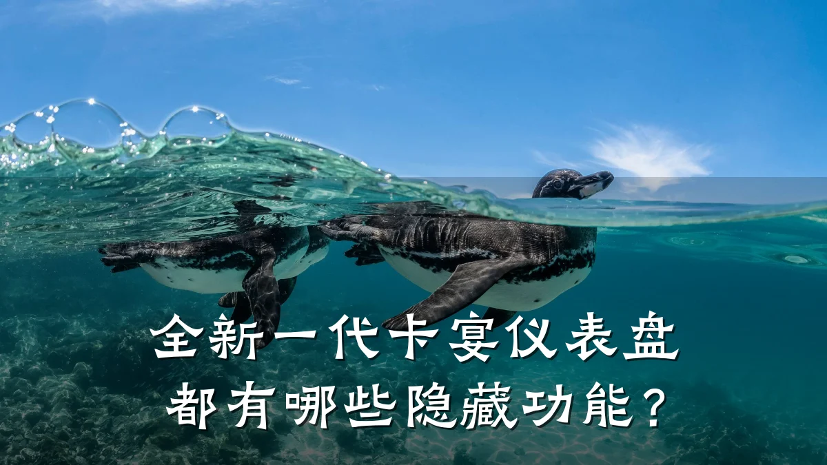 全新一代卡宴仪表盘都有哪些隐藏功能?