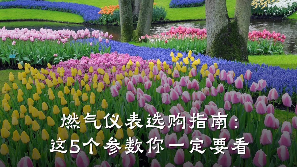 燃气仪表选购指南：这5个参数你一定要看