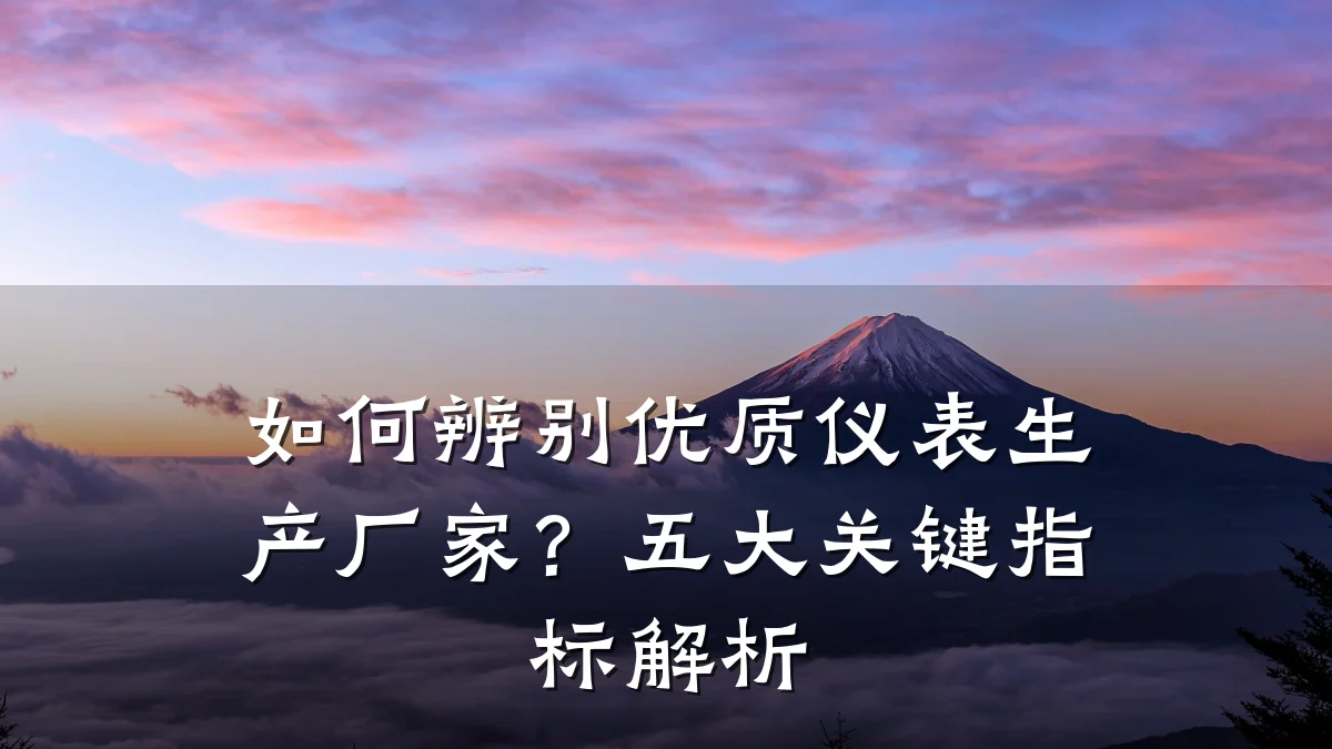 如何辨别优质仪表生产厂家?五大关键指标解析