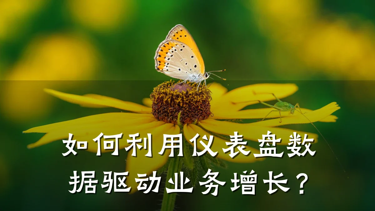 如何利用仪表盘数据驱动业务增长?
