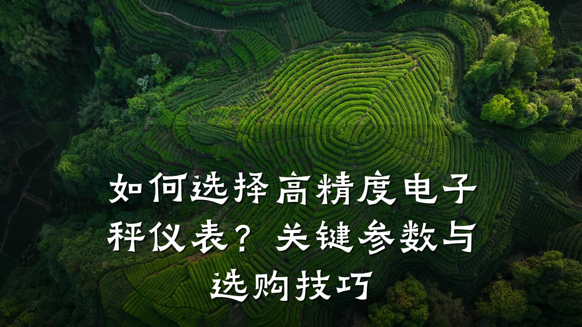 如何选择高精度电子秤仪表？关键参数与选购技巧