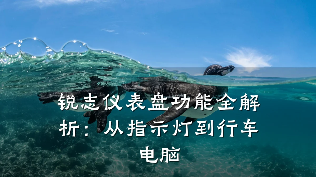 锐志仪表盘功能全解析：从指示灯到行车电脑