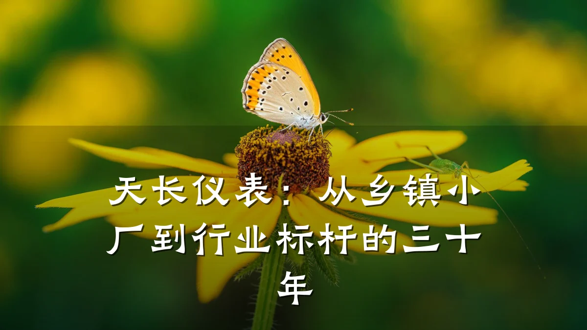 天长仪表：从乡镇小厂到行业标杆的三十年