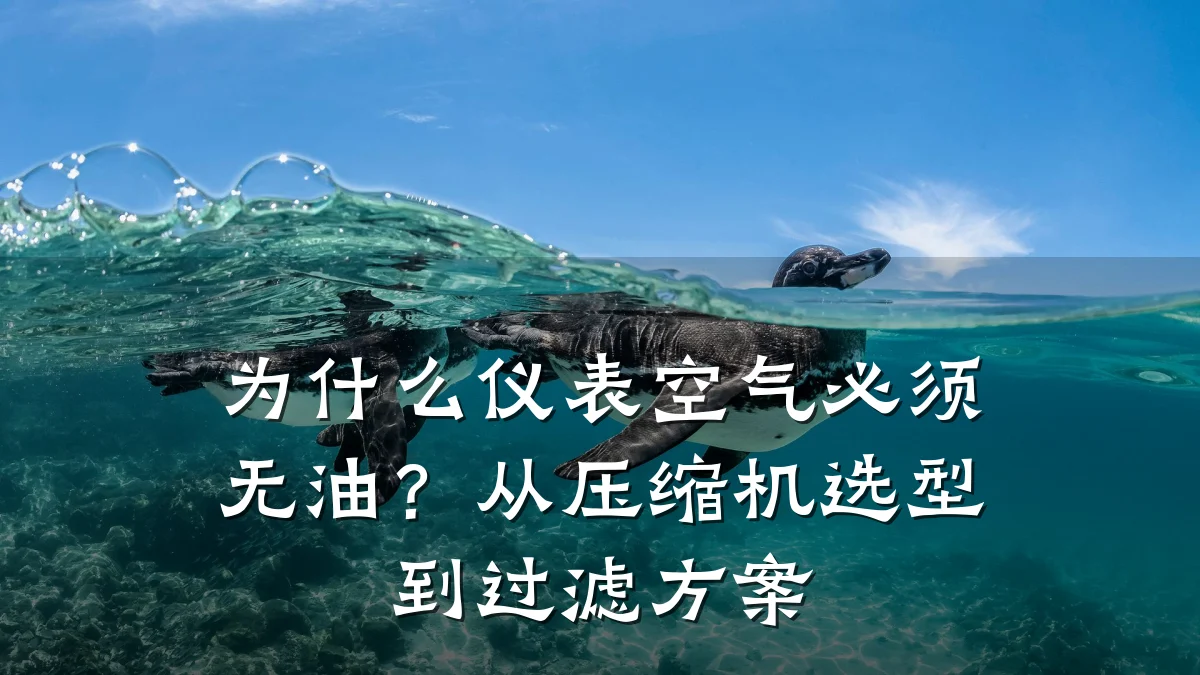 为什么仪表空气必须无油?从压缩机选型到过滤方案