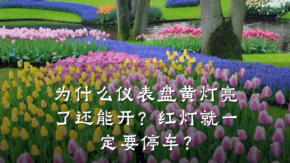 为什么仪表盘黄灯亮了还能开？红灯就一定要停车？