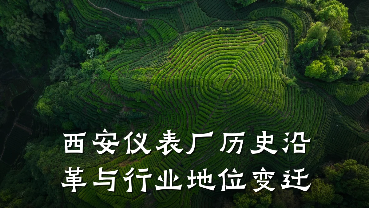 西安仪表厂历史沿革与行业地位变迁