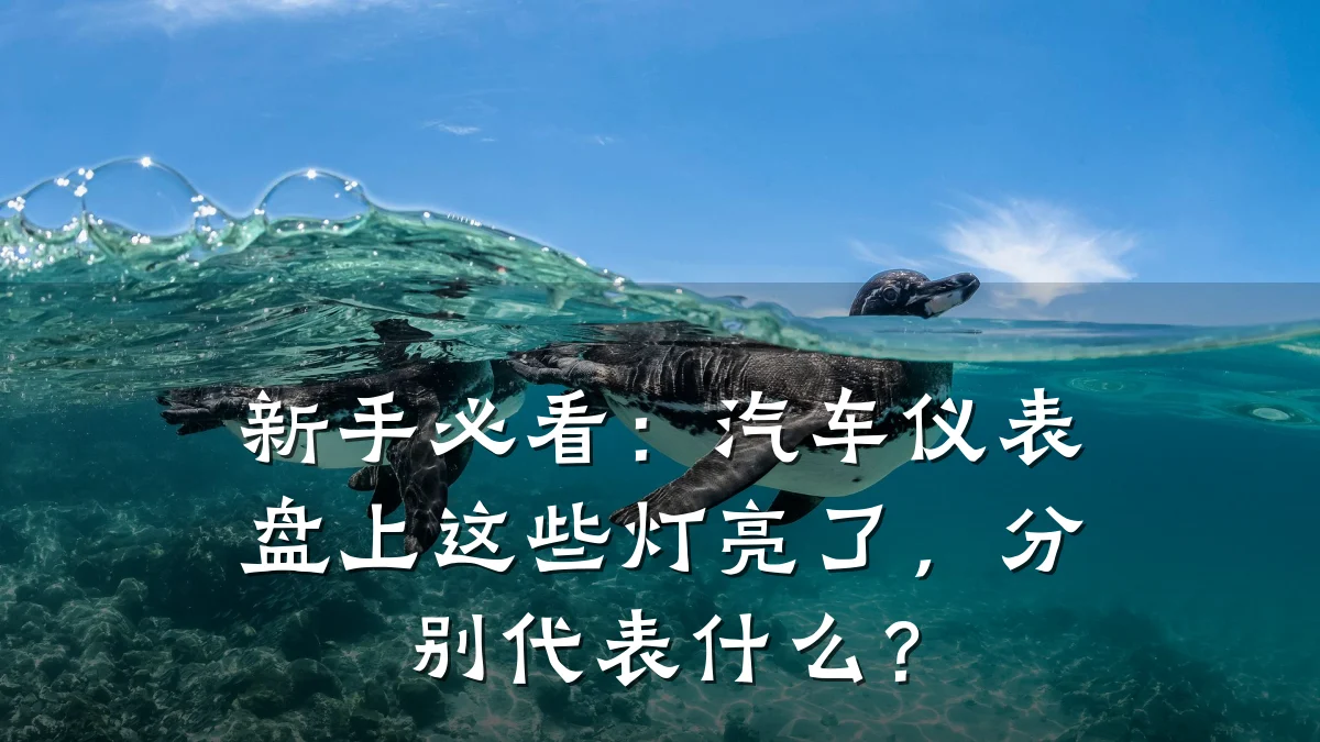 新手必看:汽车仪表盘上这些灯亮了,分别代表什么?