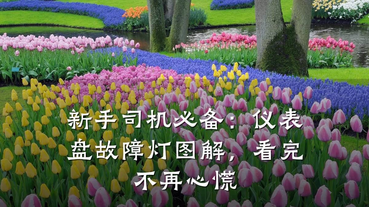 新手司机必备:仪表盘故障灯图解,看完不再心慌