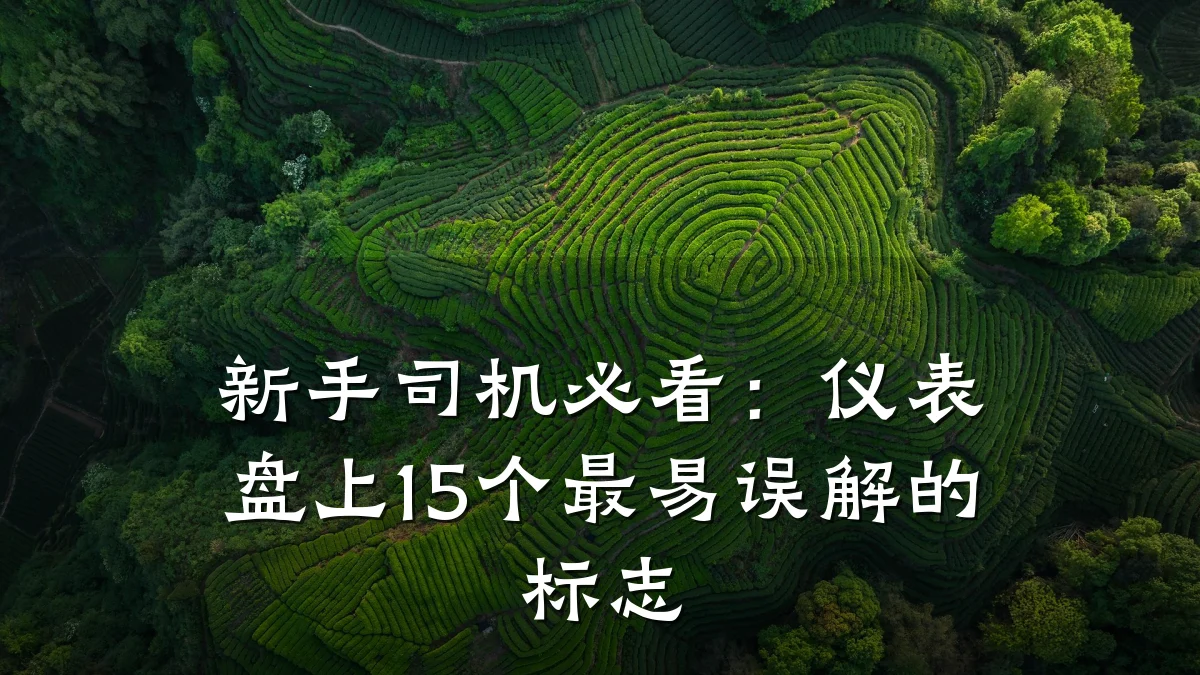 新手司机必看:仪表盘上15个最易误解的标志