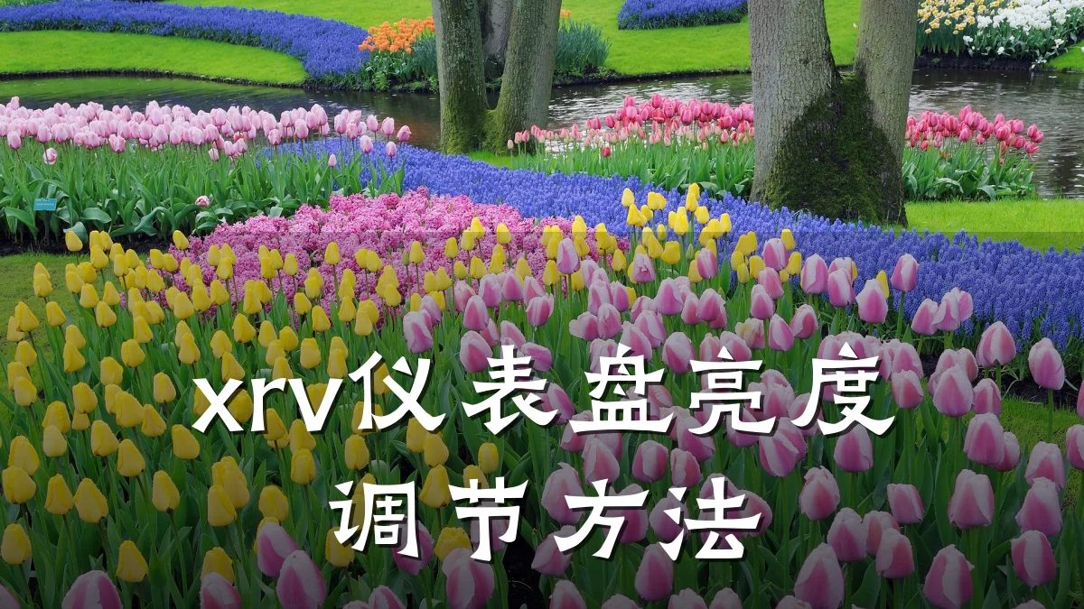 xrv仪表盘亮度调节方法