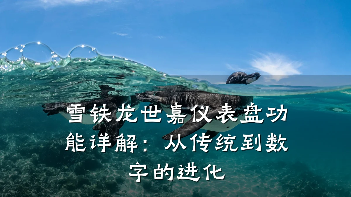 雪铁龙世嘉仪表盘功能详解:从传统到数字的进化