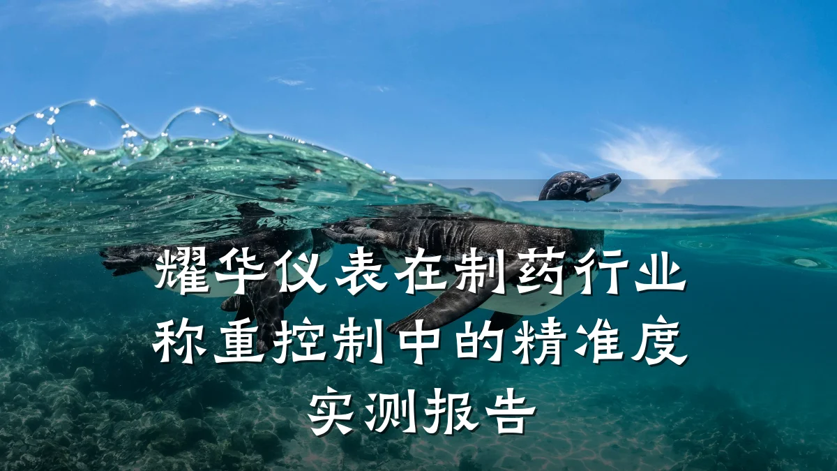 耀华仪表在制药行业称重控制中的精准度实测报告