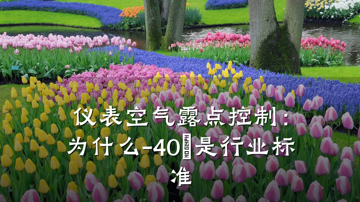 仪表空气露点控制:为什么-40℃是行业标准
