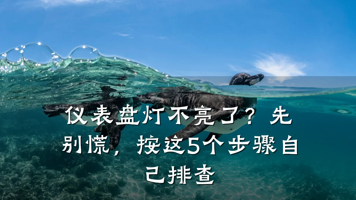 仪表盘灯不亮了?先别慌,按这5个步骤自己排查