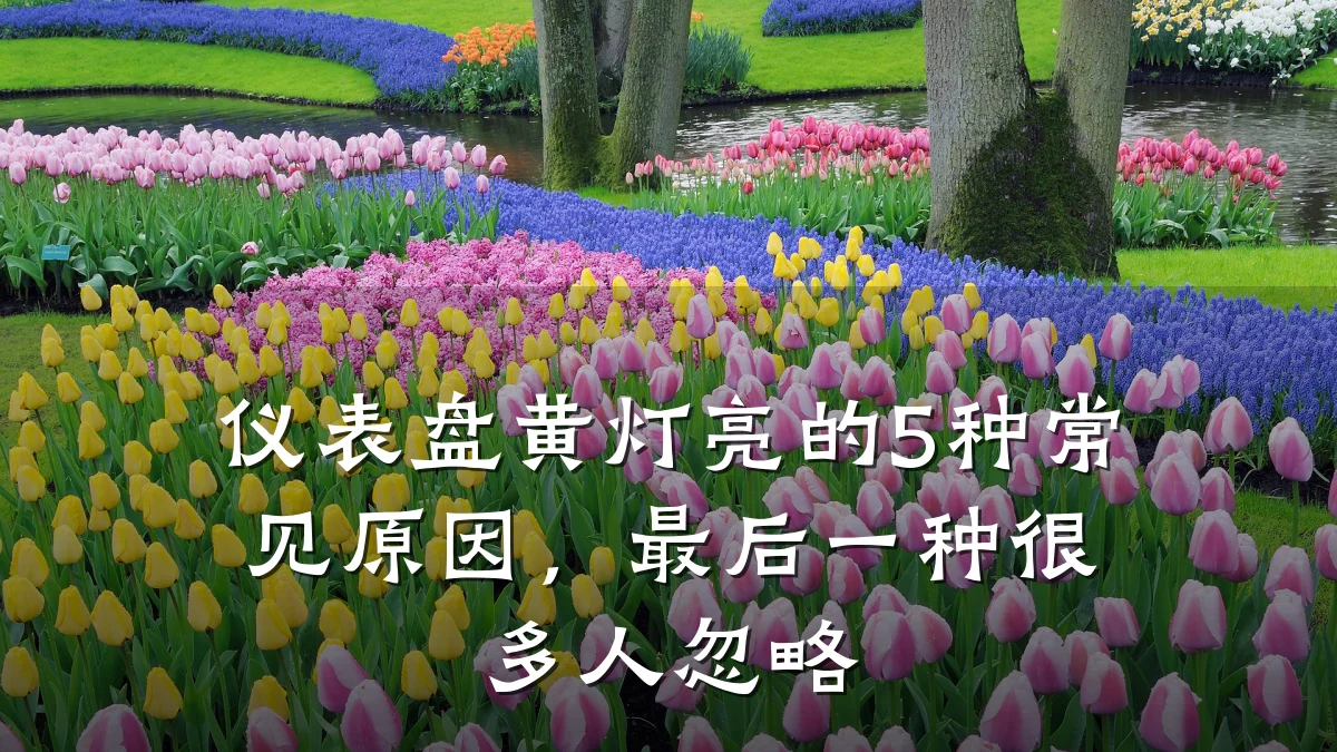 仪表盘黄灯亮的5种常见原因,最后一种很多人忽略