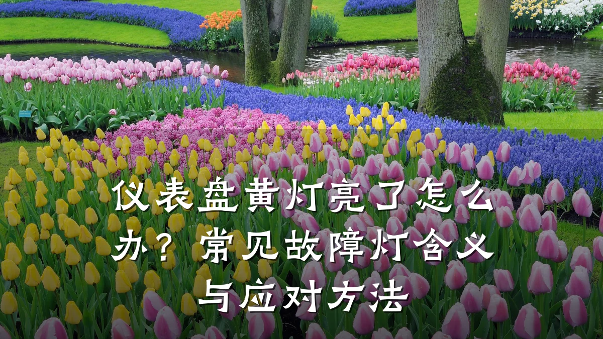 仪表盘黄灯亮了怎么办?常见故障灯含义与应对方法