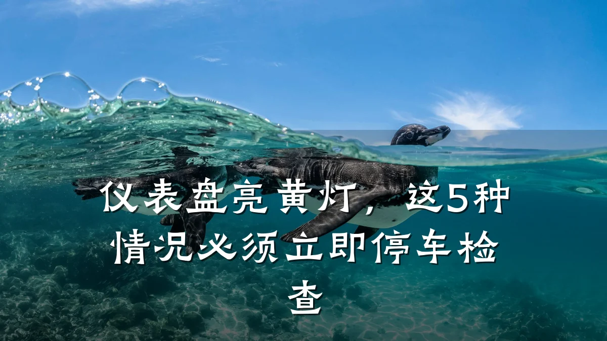 仪表盘亮黄灯,这5种情况必须立即停车检查