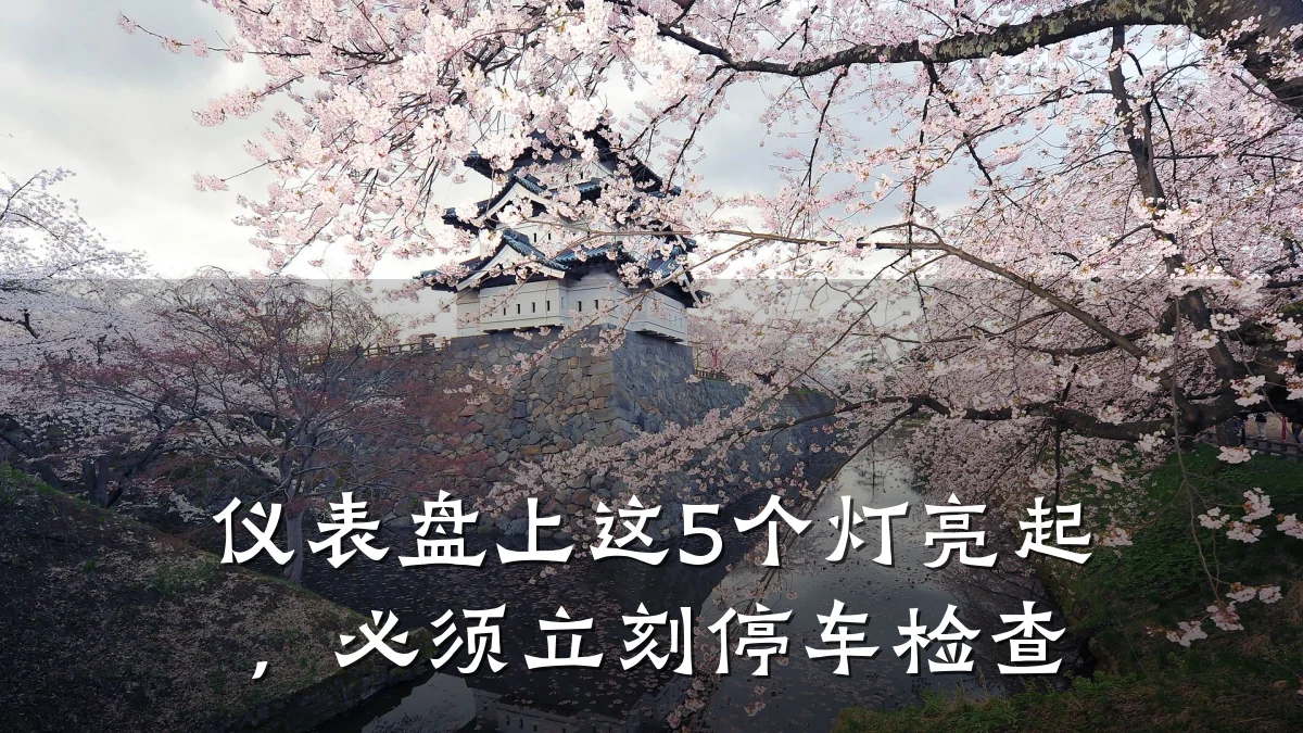 仪表盘上这5个灯亮起,必须立刻停车检查